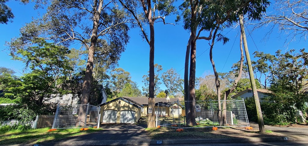 Tree Protection Australia | 10 Pitt Town Rd, Kenthurst NSW 2156, Australia | Phone: 0477 435 782