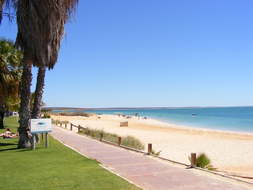 Wildsights Cruises | Jetty WA 6537, Australia | Phone: (08) 9948 1481