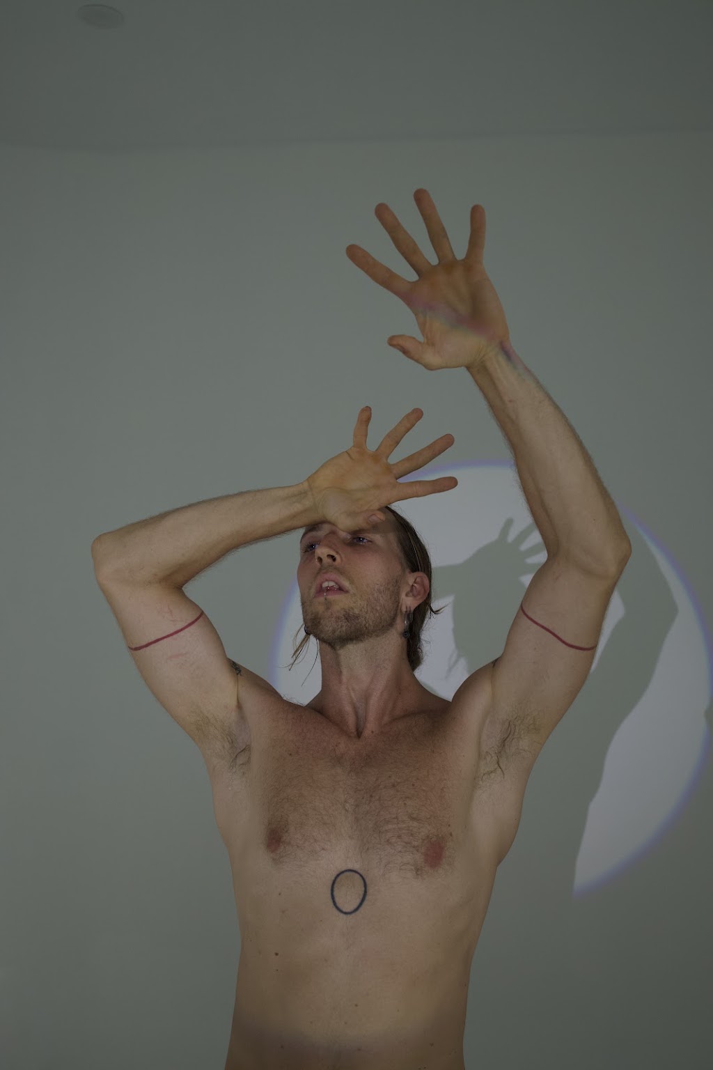 SlowTrueHealing | 3103 Nerang Murwillumbah Rd, Natural Bridge QLD 4211, Australia | Phone: 0457 389 943