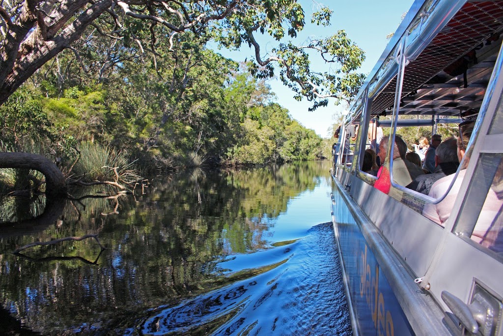 Everglades Eco Safaris |  | 204 Lake Flat Rd, Boreen Point QLD 4565, Australia | 0754853165 OR +61 7 5485 3165