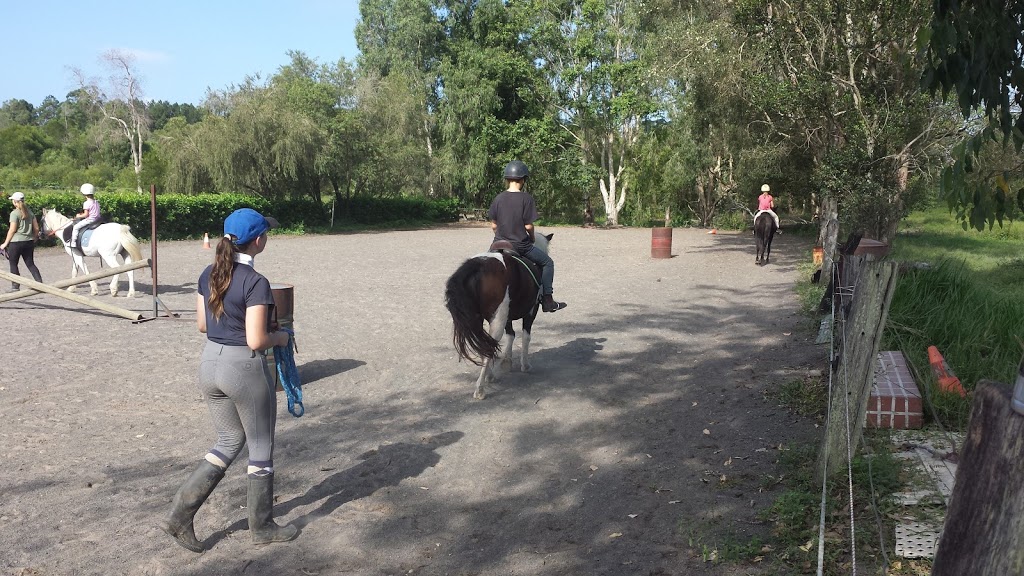 Horse Riding @ Rossis | travel agency | 289 Fraser Rd, Beerwah QLD 4519, Australia | 0754948515 OR +61 7 5494 8515