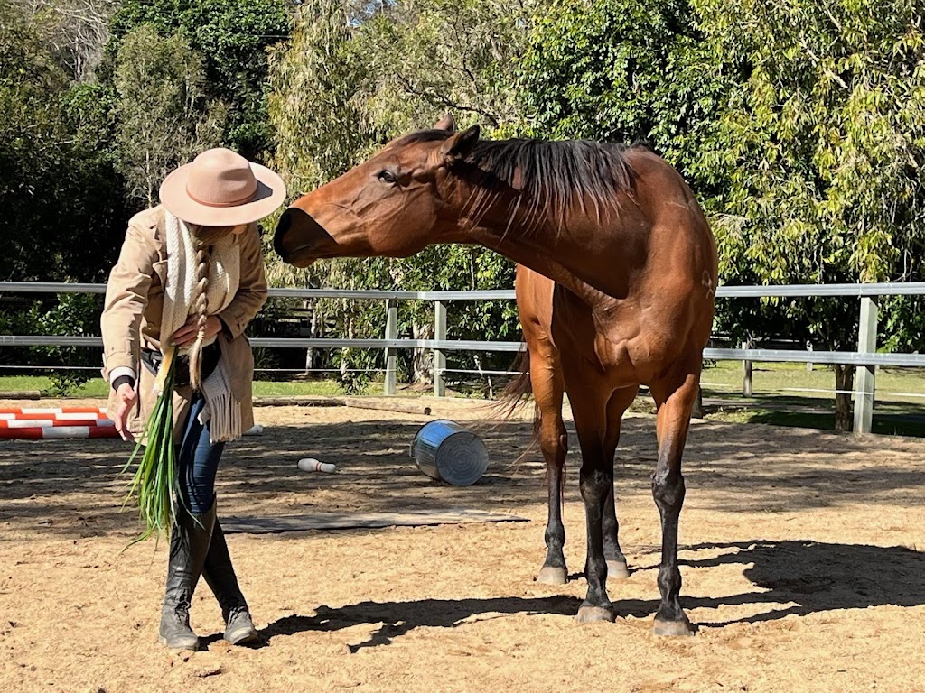 Empress Equine | 88 Kindra Ave, Karana Downs QLD 4306, Australia | Phone: 0423 275 615