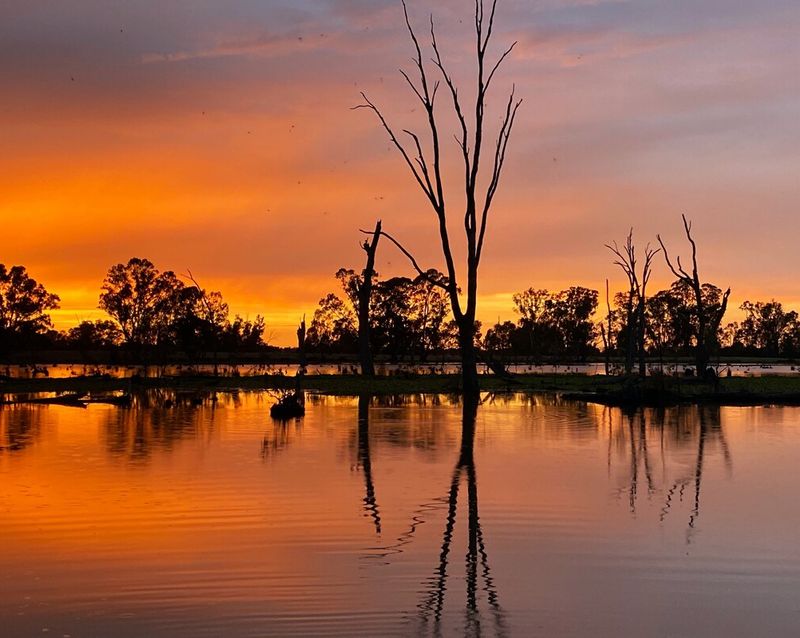 The Creek House | lodging | 123 Cohuna Island Rd, Cohuna VIC 3568, Australia | 0418124816 OR +61 418 124 816