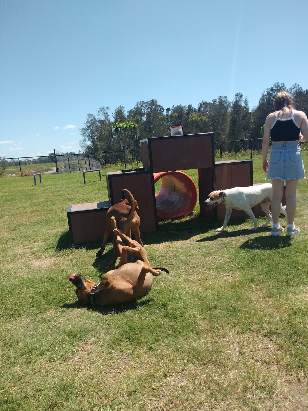 North harbour dog park | Morayfield QLD 4506, Australia