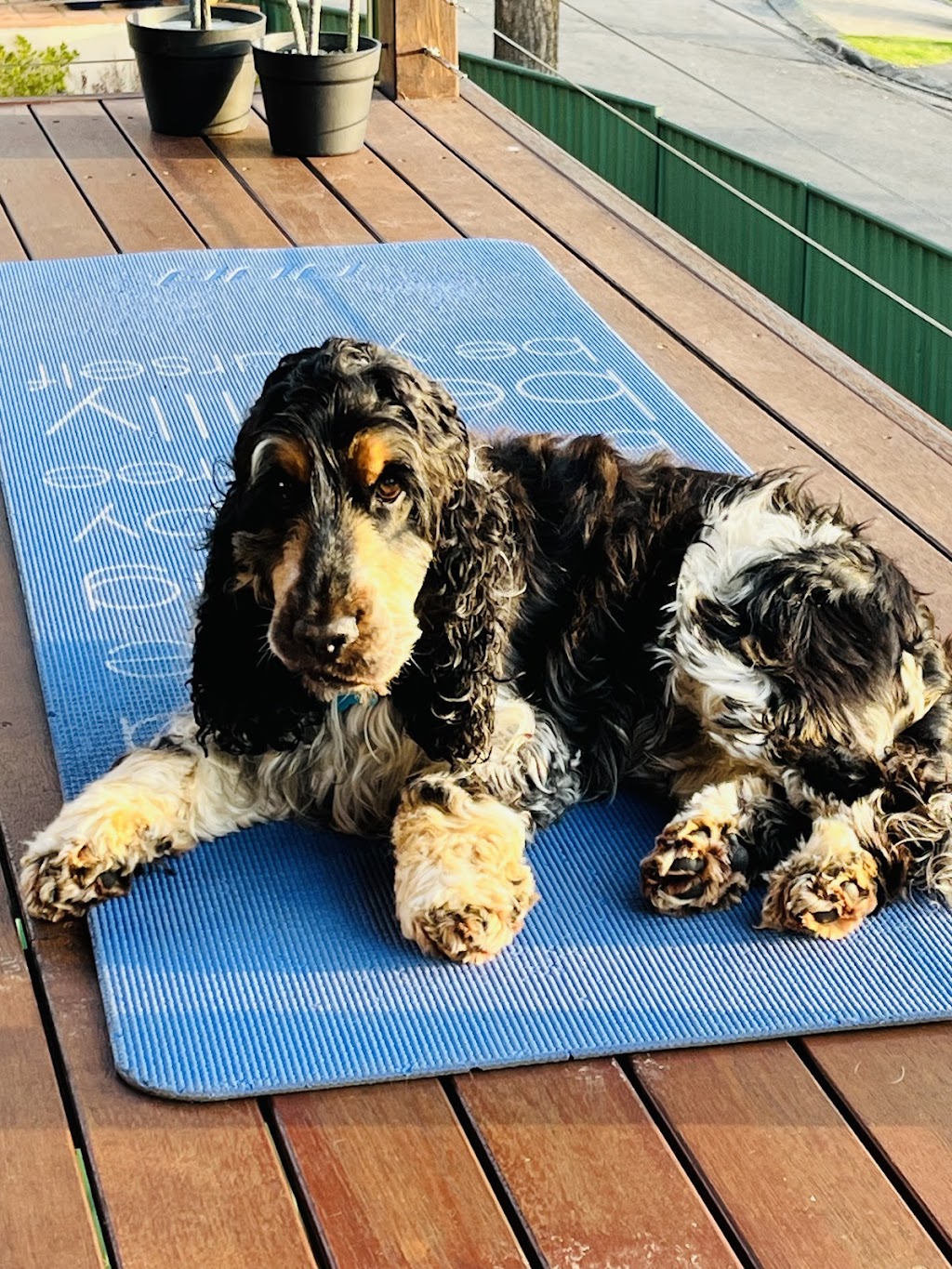 Pilates by the Lake | The Lakehouse, 34 Goonda Promenade, Wangi Wangi NSW 2267, Australia | Phone: 0412 138 008