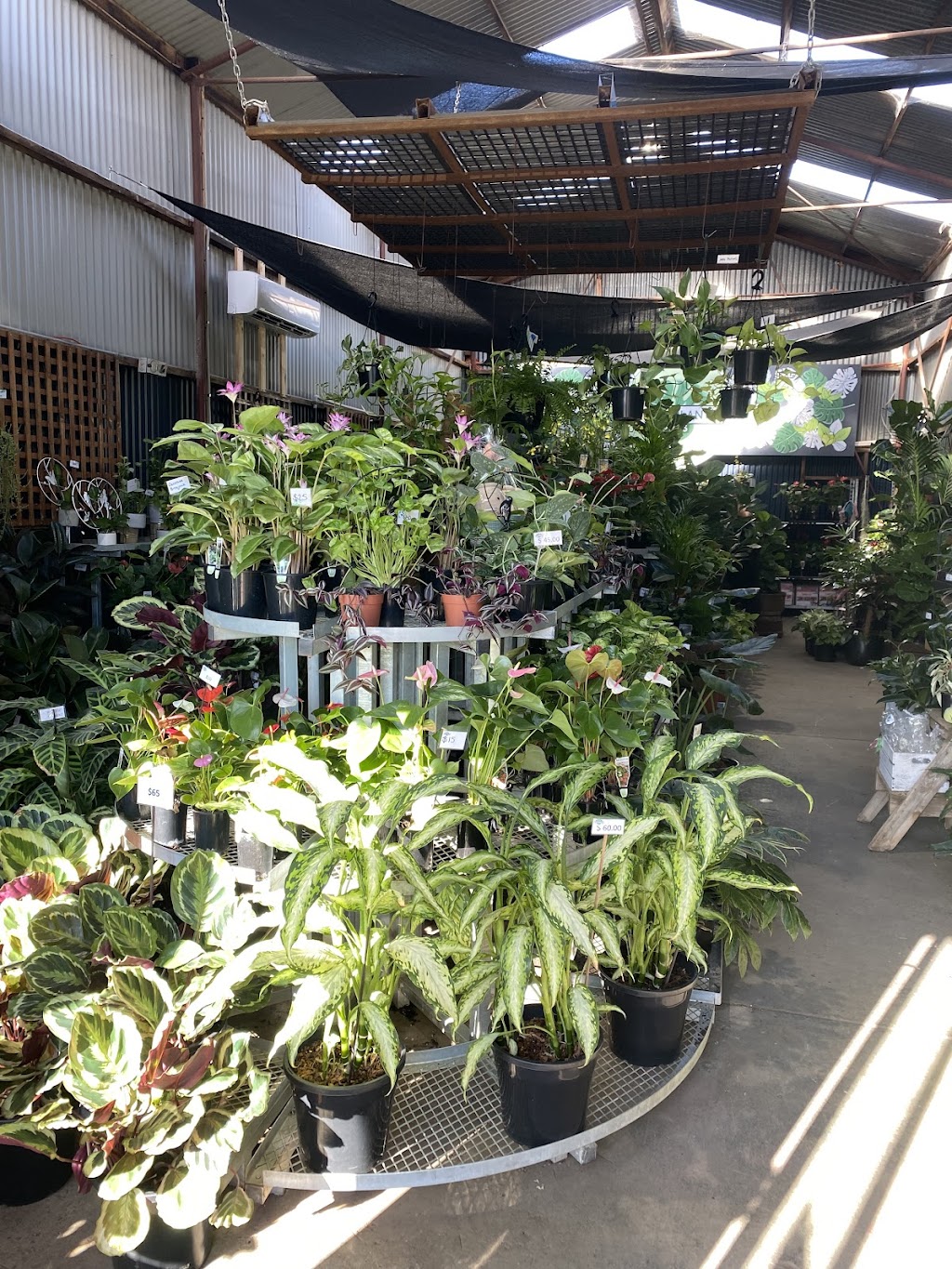 Houseplants Plus | 1 K Rd, Werribee South VIC 3030, Australia | Phone: (03) 8754 9973