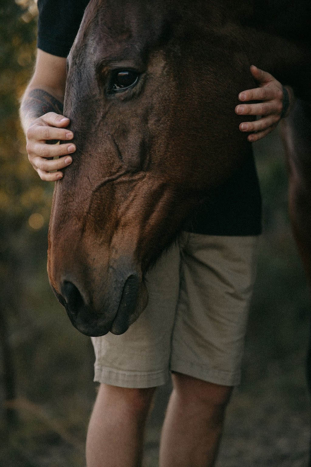 Finding Clarity Equine Assisted Therapy | Old Bagotville Rd, Bagotville NSW 2477, Australia | Phone: 0420 904 503