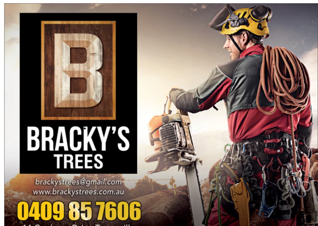 Bracky’s Trees | 14 Coolaree Dr, Bushland Beach QLD 4818, Australia | Phone: 0409 857 606