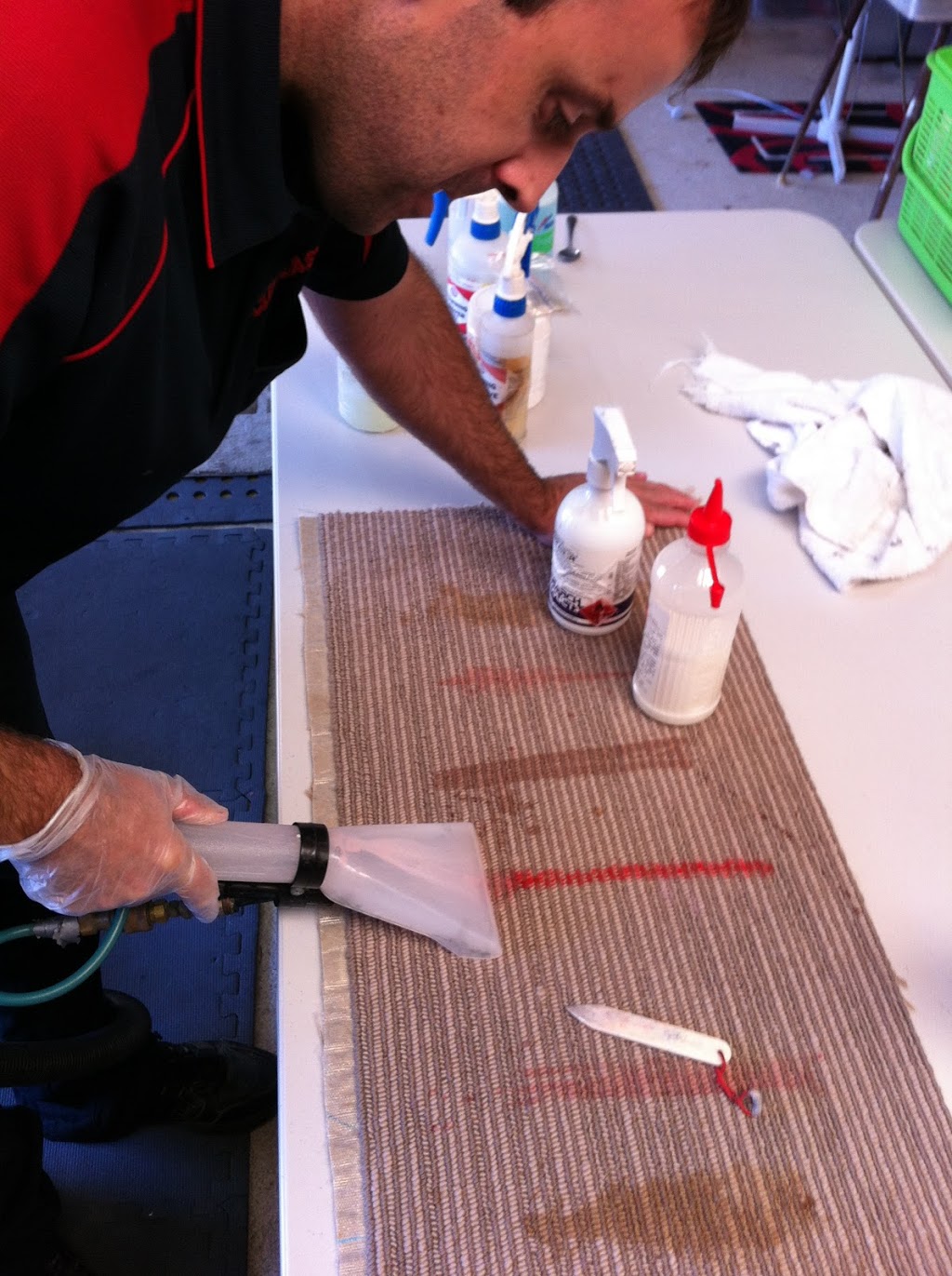 Nation Training - Carpet & Upholstery Cleaning Training | 13 Carnival St, Yandina QLD 4561, Australia | Phone: 0408 966 500