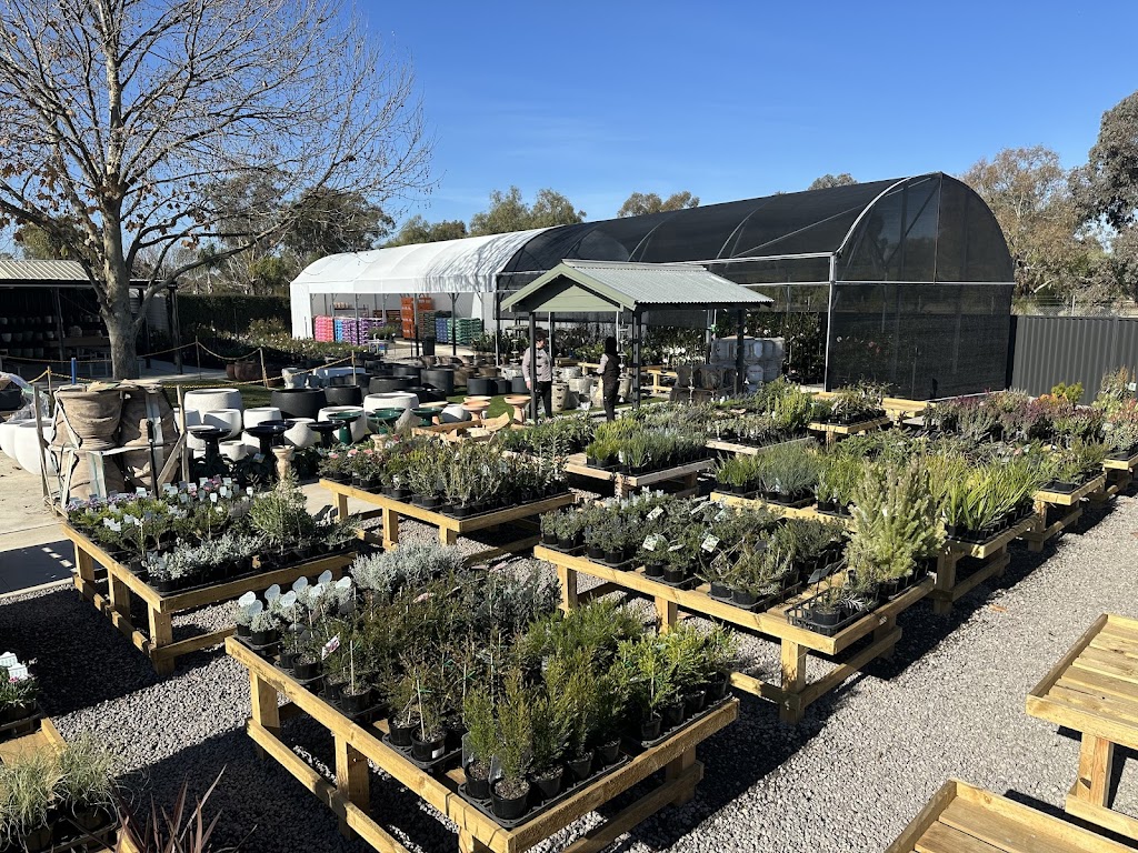 Rodilesa Nursery Rochester | 6525 Northern Hwy, Rochester VIC 3561, Australia | Phone: (03) 4320 0802