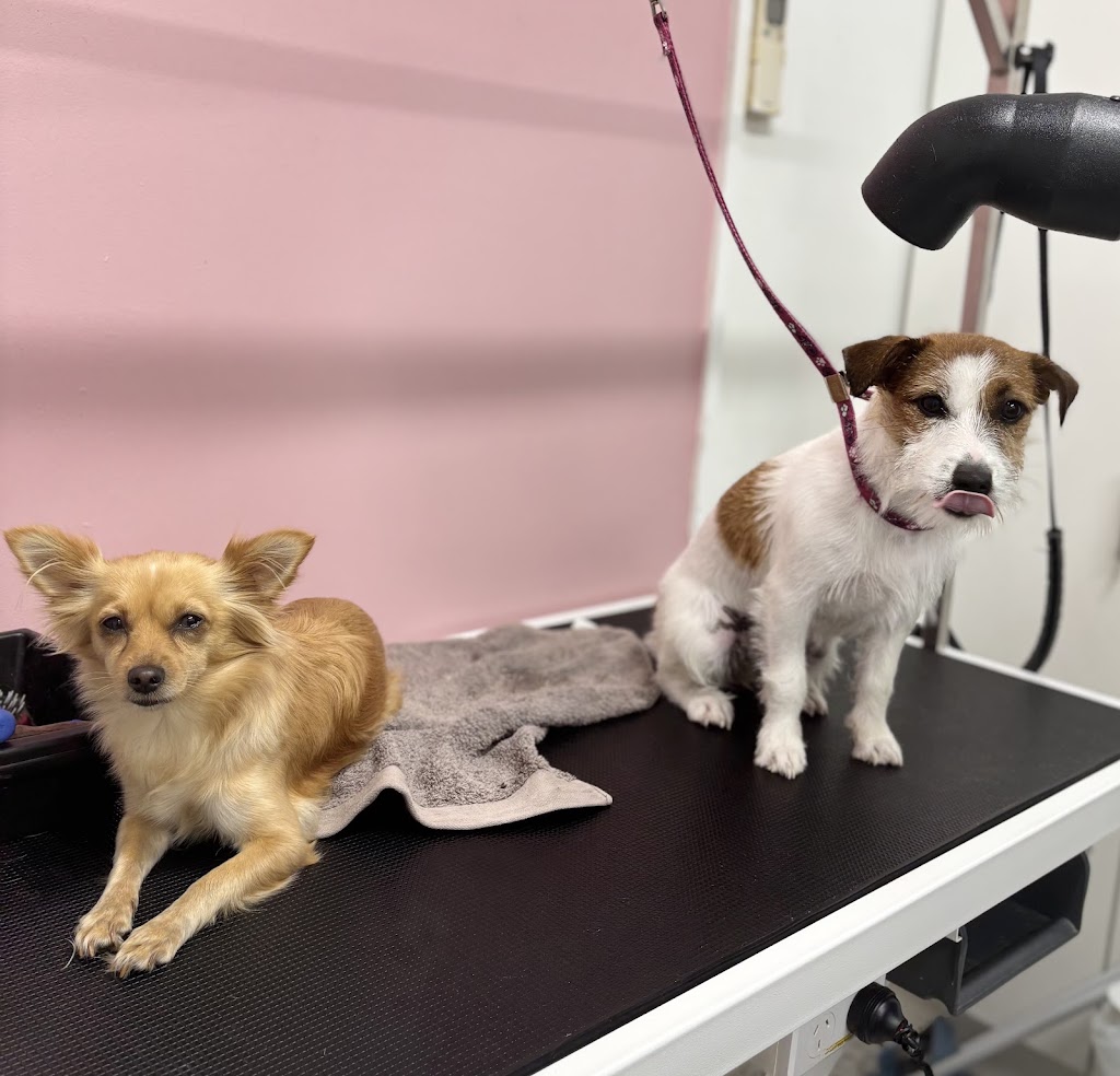 Vanity Fur Grooming Co | Colonial Plaza, 5a/137 Ipswich St, Esk QLD 4312, Australia | Phone: 0406 291 494