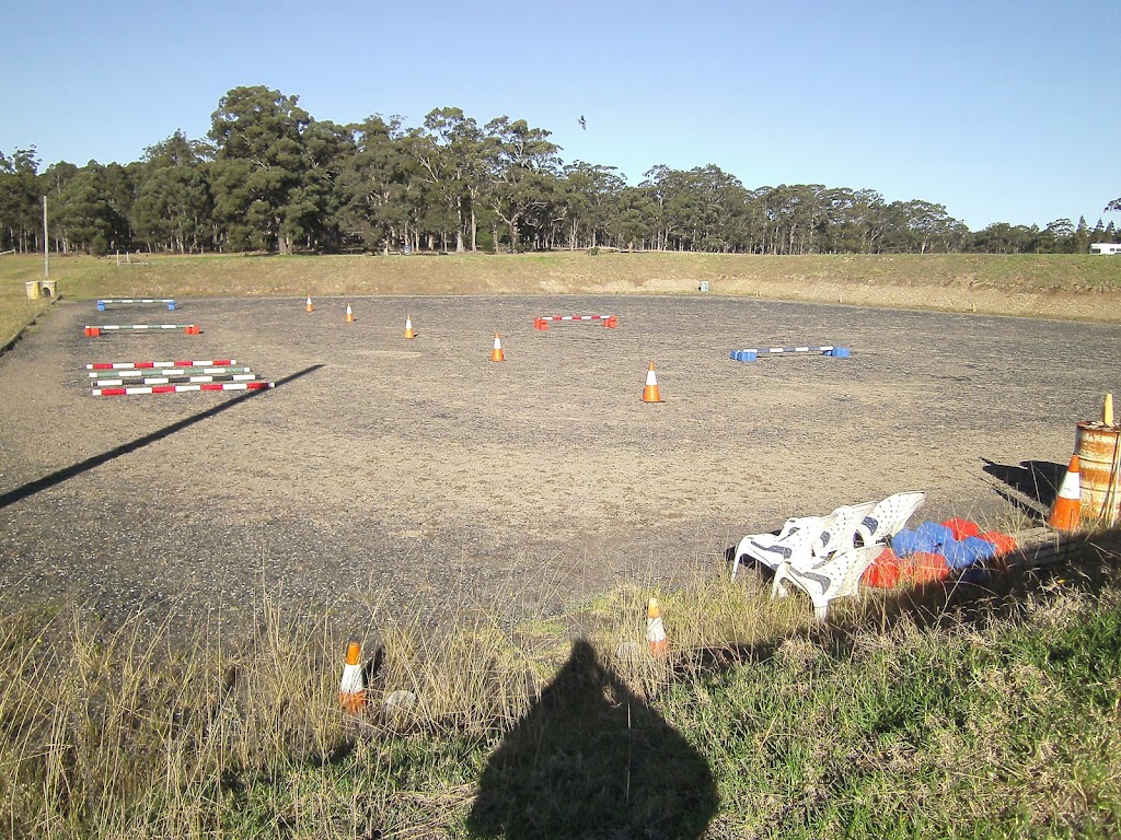 Lazy J Horse Agistment | D515 Princes Hwy, Comberton NSW 2540, Australia | Phone: 0415 404 202