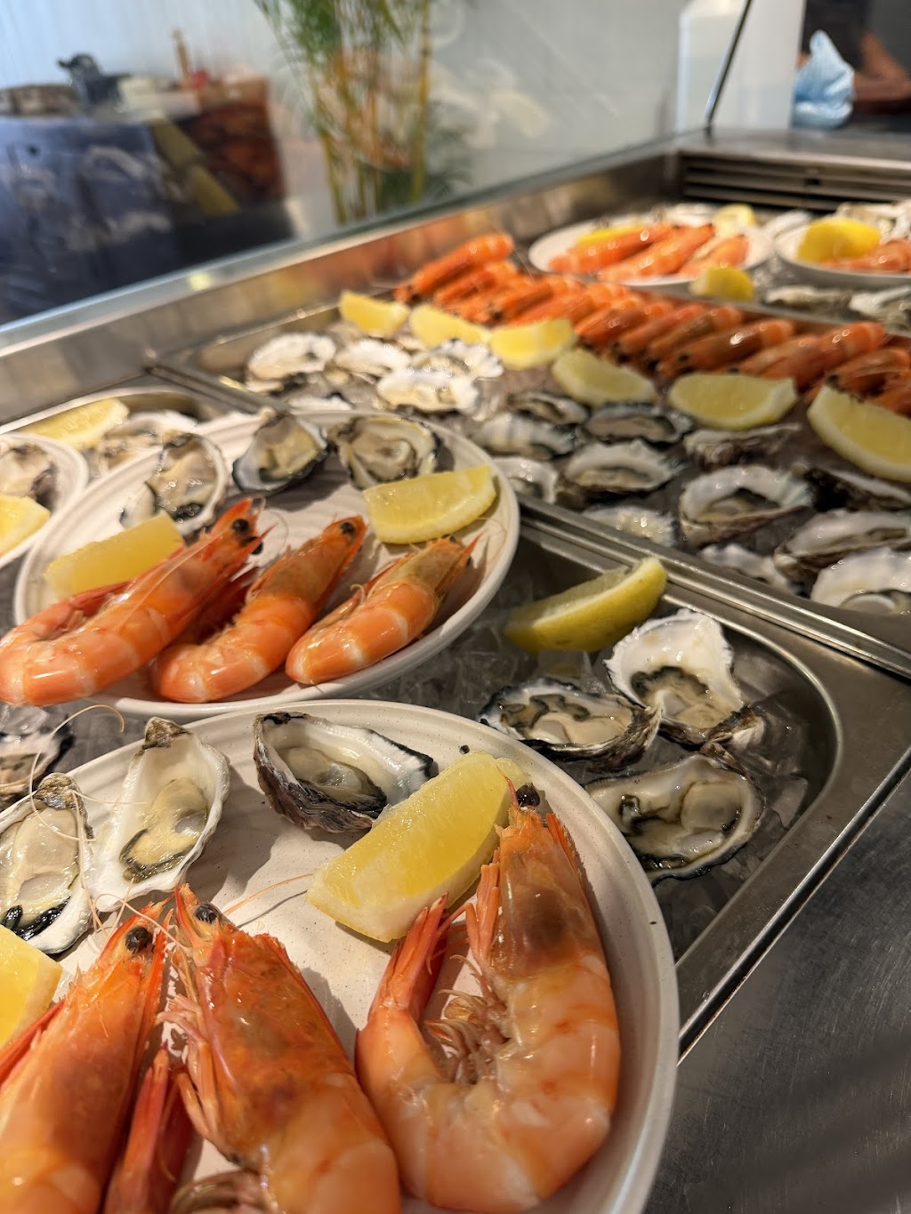 Gino Palm beach | 1087 Barrenjoey Rd, Palm Beach NSW 2108, Australia | Phone: 0403 872 906
