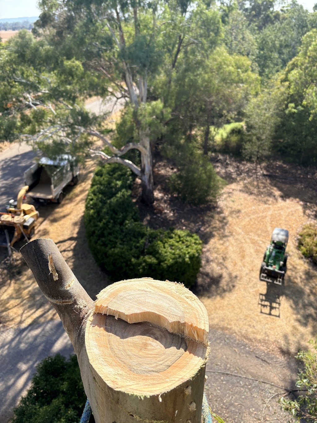 High Plains Tree Care | Steens Rd, Boho South VIC 3669, Australia | Phone: 0467 088 248