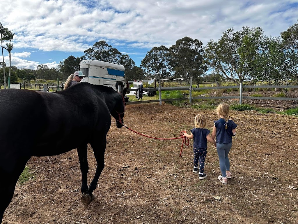 Nadia Ingerman Horsemanship | 351 Diggles Rd, Glengallan QLD 4370, Australia | Phone: 0499 289 392