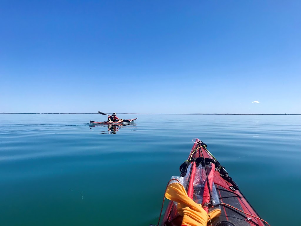 Encounter Sea Kayaking | Kent Dr, Victor Harbor SA 5211, Australia | Phone: 0422 079 355