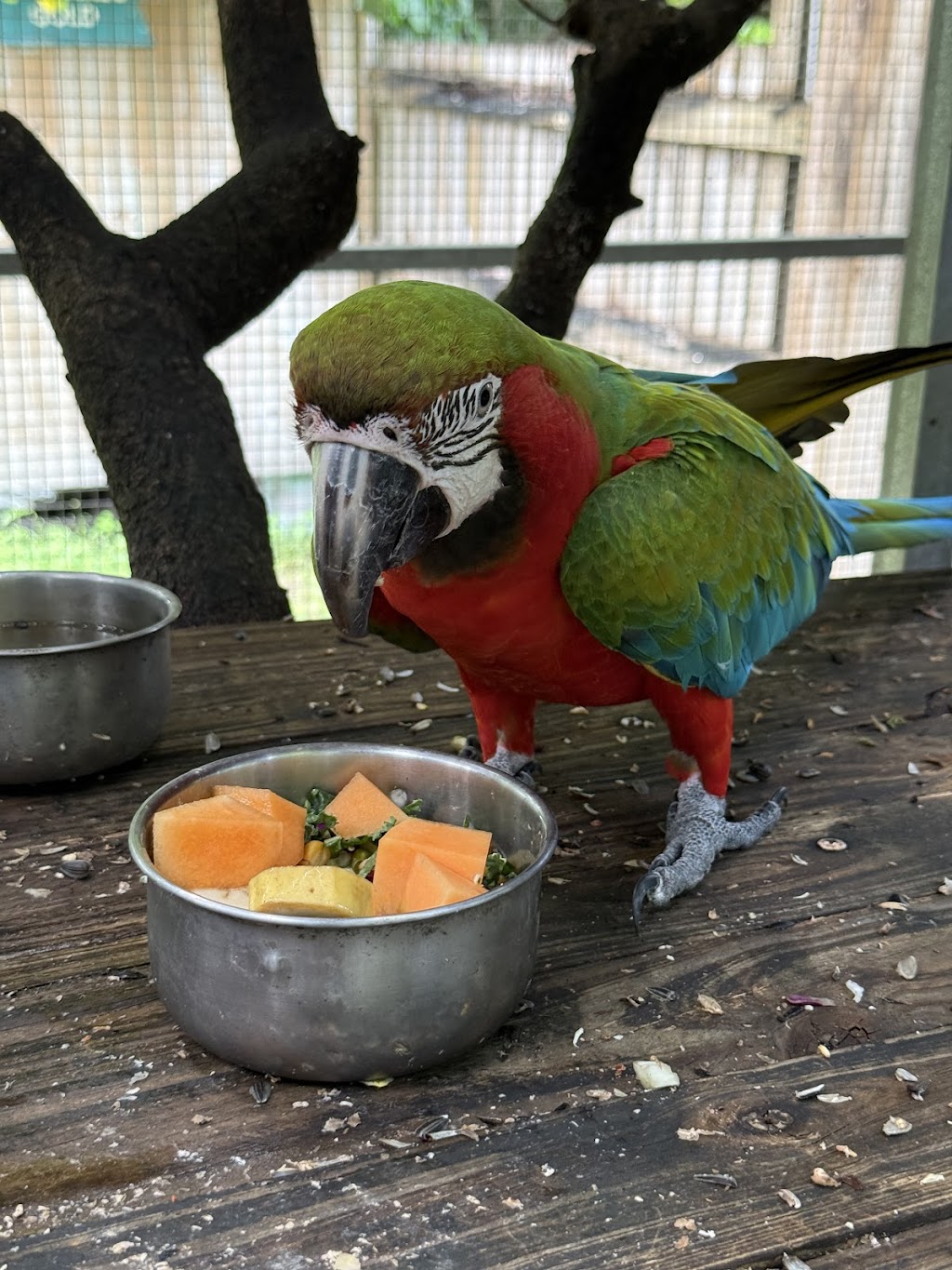 Twin Pine Pet Resort | 2989 Mackay Eungella Rd, Benholme QLD 4754, Australia | Phone: 0466 816 360