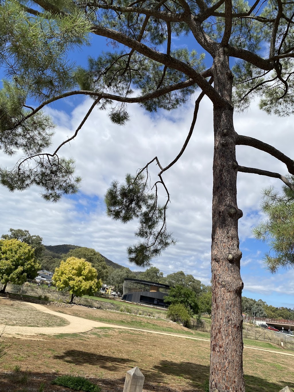 Bruce’s Royal Tree | 16 Siege St, Glenrowan VIC 3675, Australia | Phone: 0493 525 707