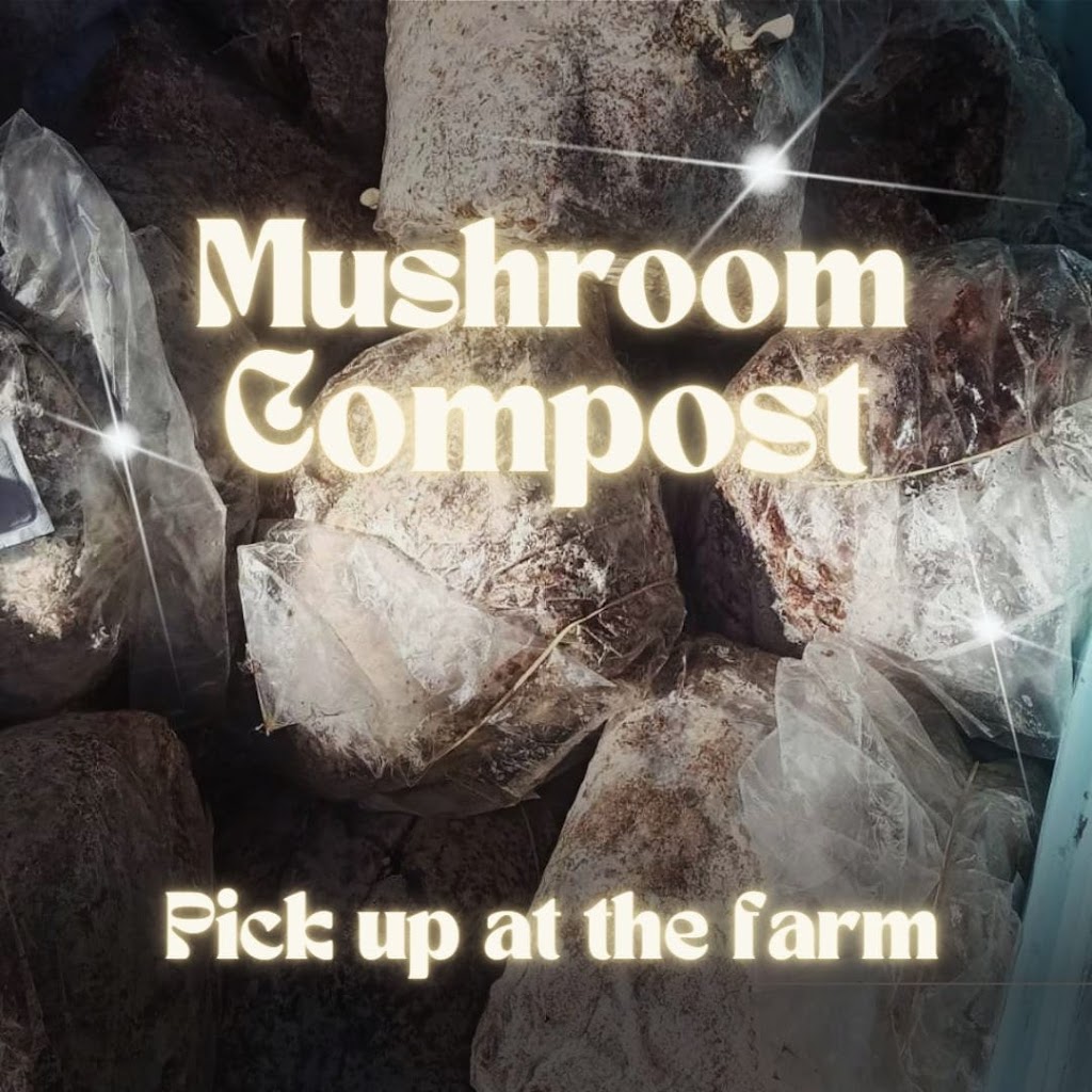 MindRise / EarthRising Mushroom Farm | Cataract St, Lawson NSW 2783, Australia | Phone: 0452 403 790
