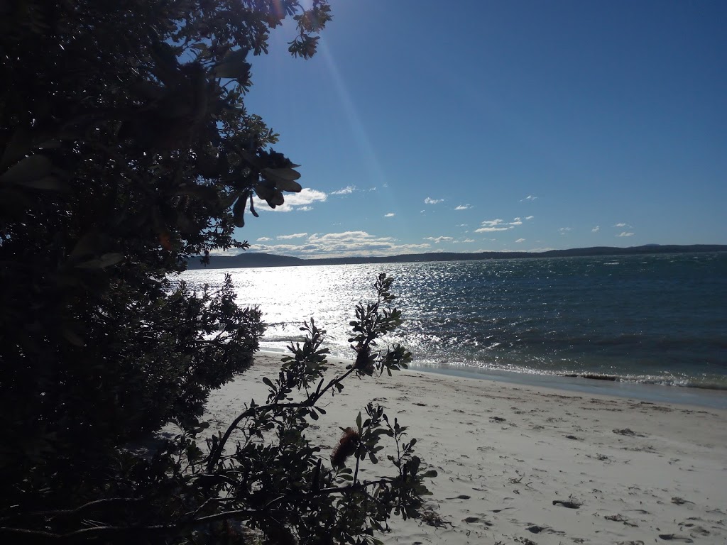 Bagnalls Beach Reserve | park | 150 Government Rd, Corlette NSW 2315, Australia | 0249800255 OR +61 2 4980 0255