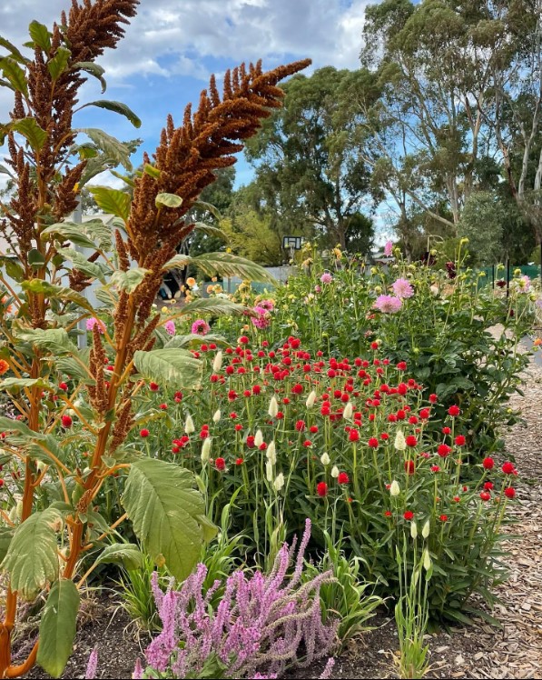 Malmsbury Flowers | 2 Old Quarry Rd, Malmsbury VIC 3446, Australia | Phone: 0477 459 654