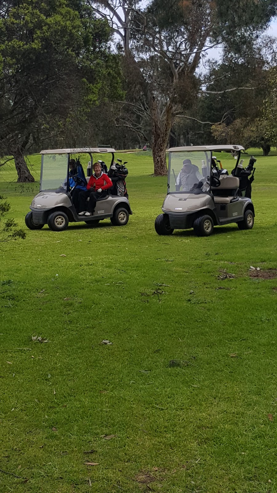 Brighton Public Golf Course | Dendy St, Brighton VIC 3186, Australia | Phone: (03) 9592 1388