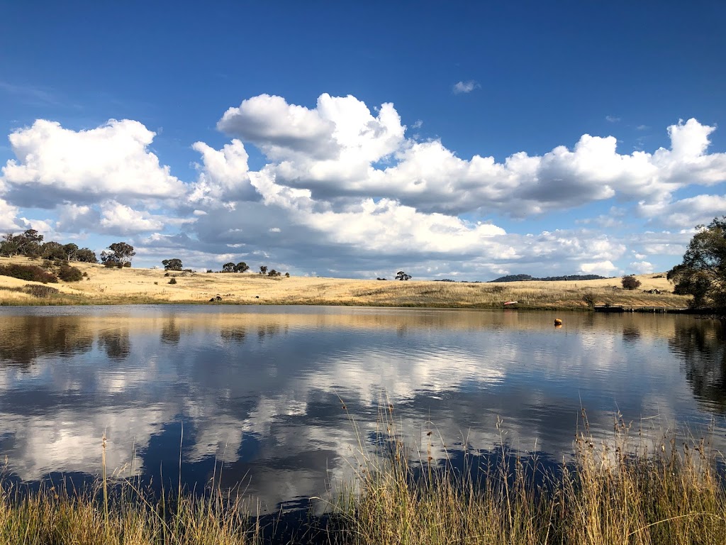 Eucumbene Trout Farm | 1066 Stoney Creek Rd, Rocky Plain NSW 2628, Australia | Phone: (02) 6456 8866