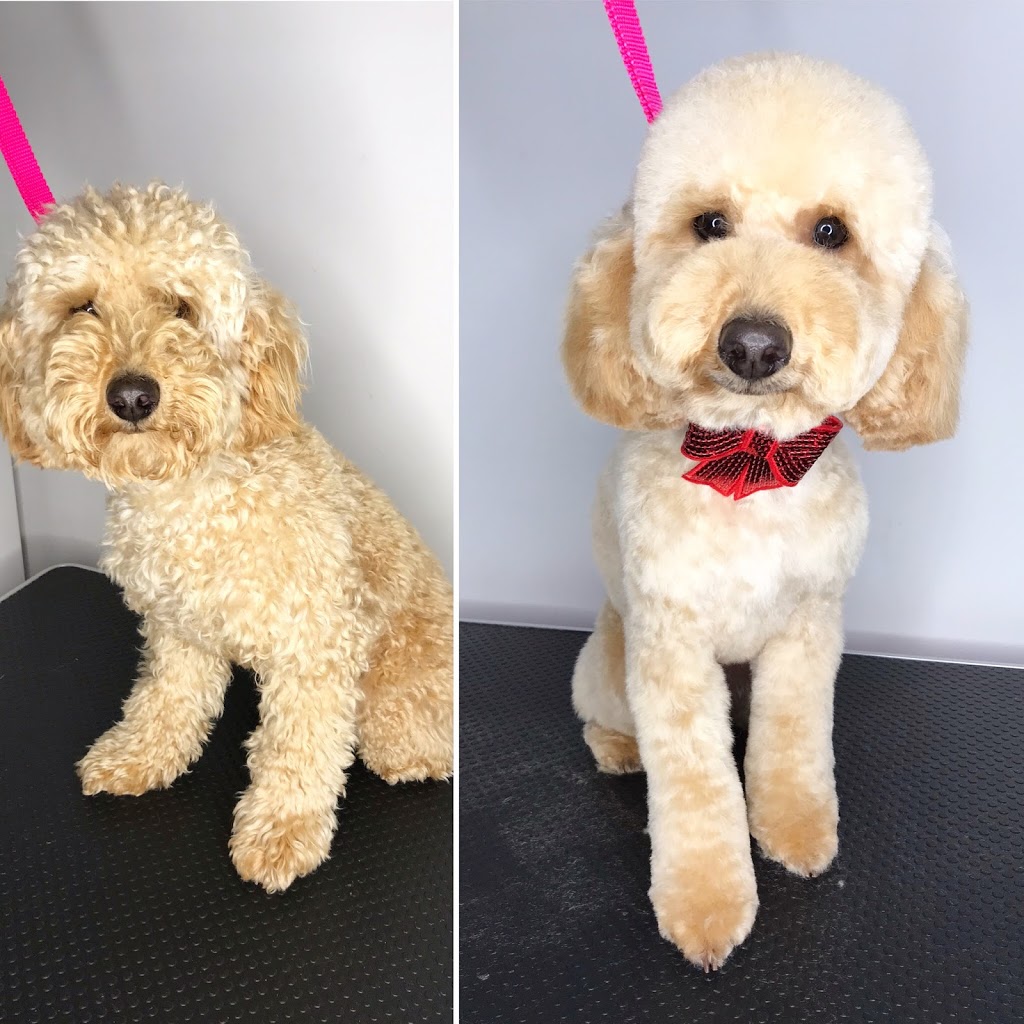 Daisy Dog Pet Grooming | 3 Black Duck Crossing, Kilmore VIC 3764, Australia | Phone: 0422 535 366