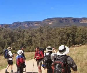 Six Foot Track | park | Nellies Glen Rd, Katoomba NSW 2780, Australia | 0299754553 OR +61 2 9975 4553