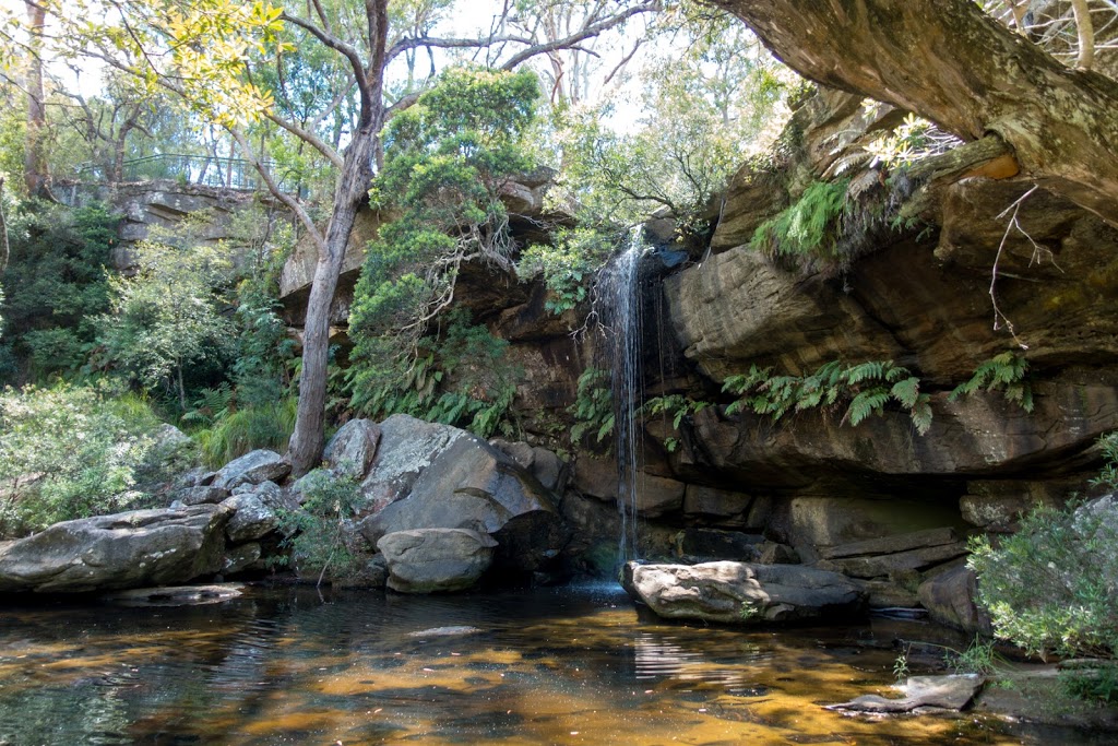 Girrakool Picnic Area | park | Brisbane Water National Park, Old Pacific Hwy, Kariong NSW 2250, Australia | 0243204200 OR +61 2 4320 4200