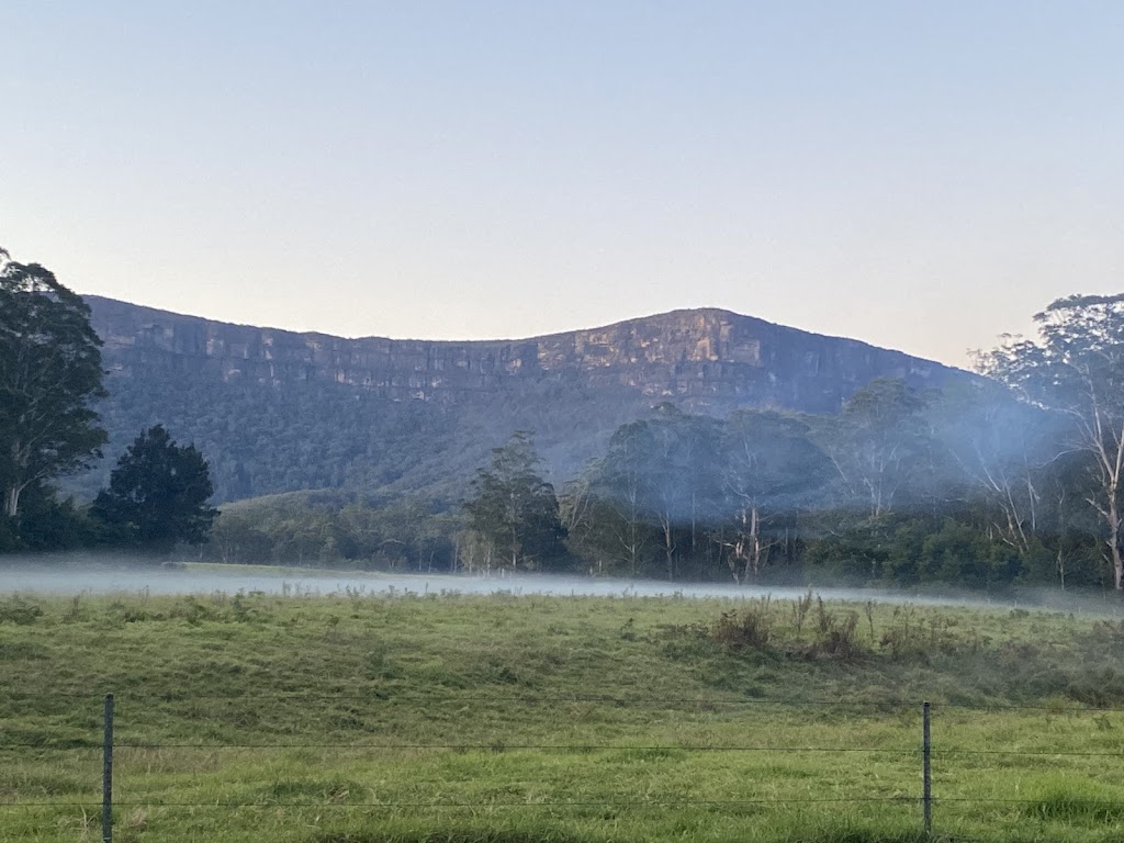Yadboro State Forest | Yadboro NSW 2539, Australia | Phone: (02) 9872 0111