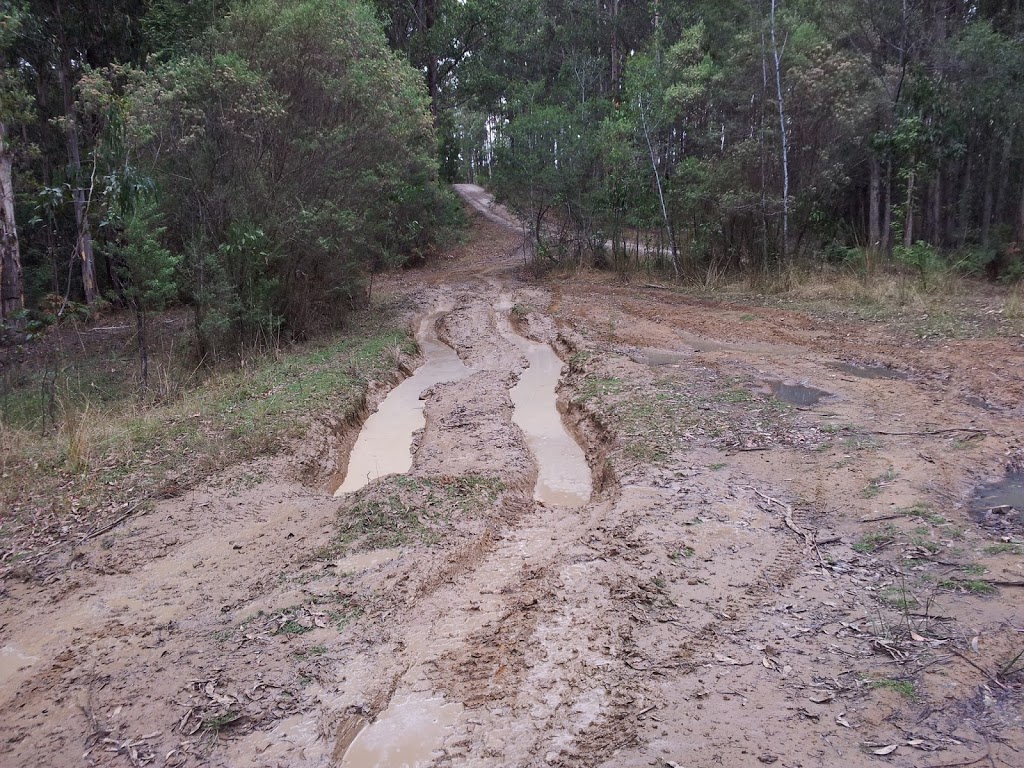 Beauchamp Falls Reserve Camp | campground | Flannagan Rd, Beech Forest VIC 3237, Australia | 131963 OR +61 131963