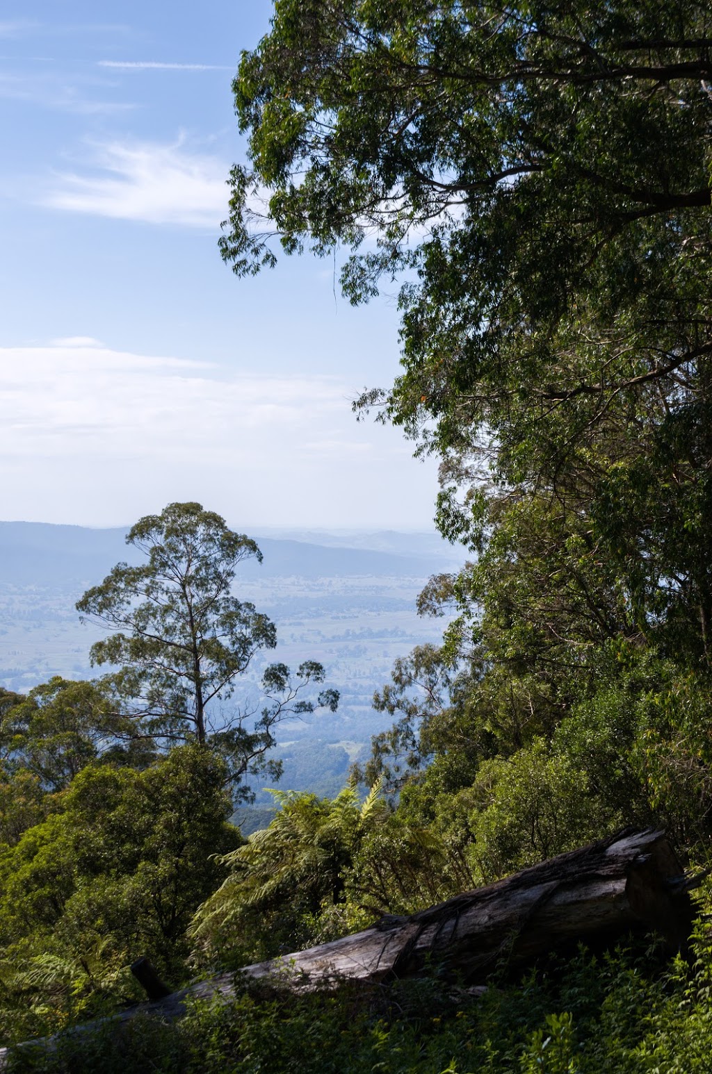 South East Forests National Park | Mount Darragh Road, Coolangubra NSW 2550, Australia | Phone: (02) 6495 5000