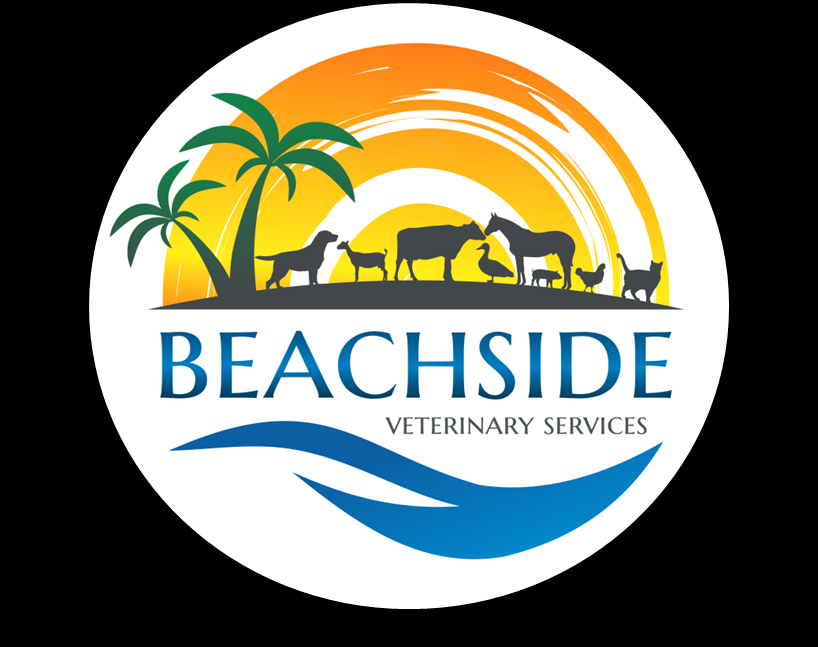 Beachside Veterinary Service | veterinary care | 4/471 Varley St, Yorkeys Knob QLD 4878, Australia | 0740578677 OR +61 7 4057 8677