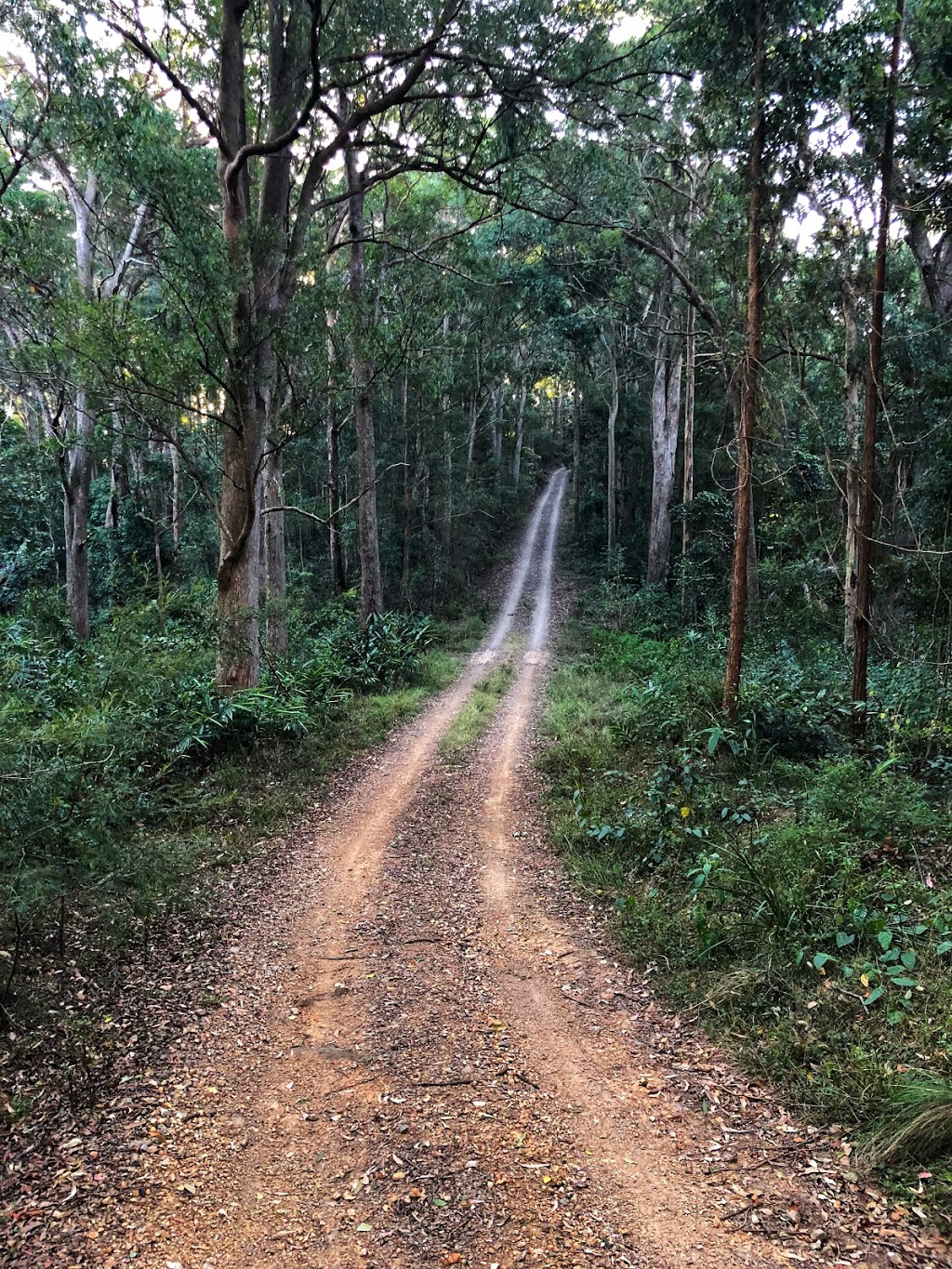 Jollys Lookout Point | park | Mount Nebo Rd, Jollys Lookout QLD 4520, Australia