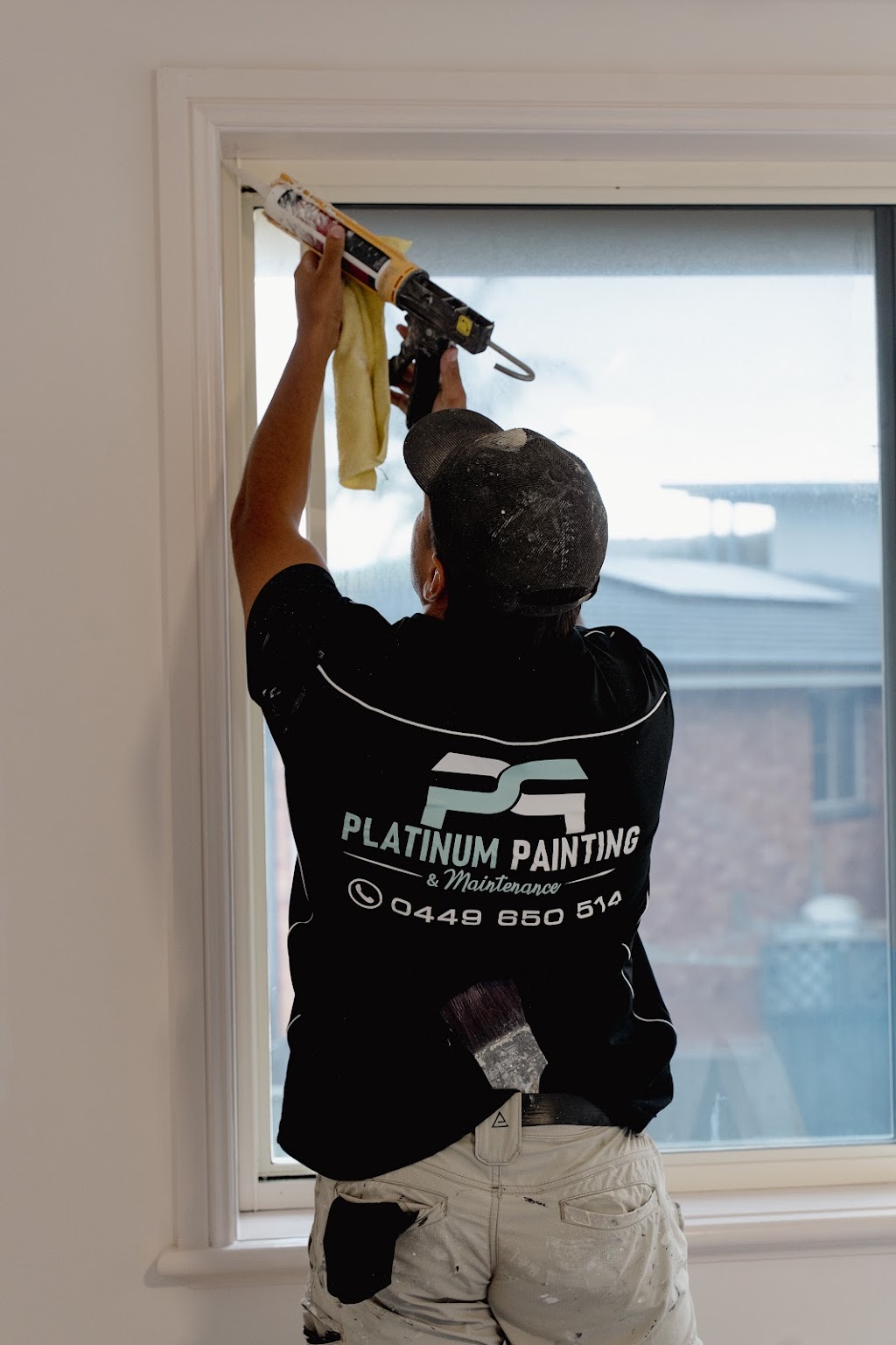 Platinum Painting & Maintenance | Unit 31/8 Spit Island Cl, Mayfield West NSW 2304, Australia | Phone: 0449 650 514
