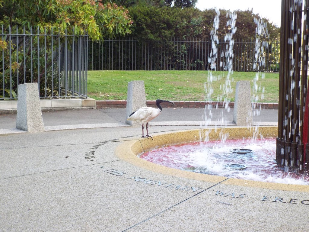 Morshead Fountain | park | Cahill Expy, Sydney NSW 2000, Australia | 0292318111 OR +61 2 9231 8111