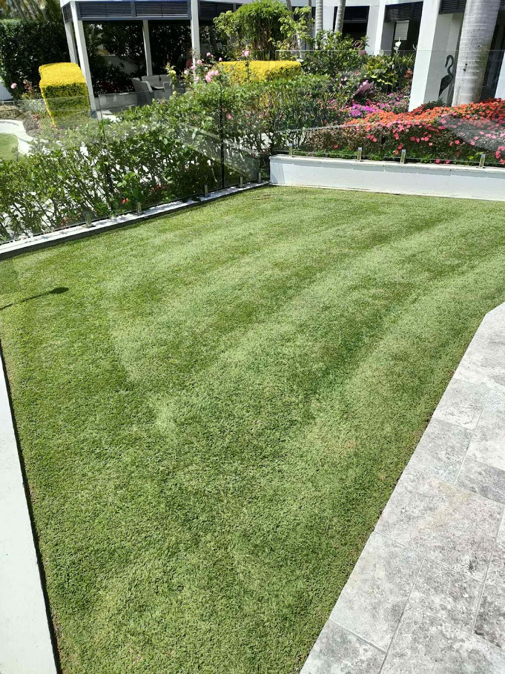 Golden Cane lawns | 9 Rosella St, Wellington Point QLD 4160, Australia | Phone: 0415 190 092