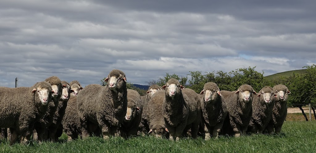 Stockman Stud | food | 3997 Midland Hwy, Melton Mowbray TAS 7030, Australia | 0362591133 OR +61 3 6259 1133