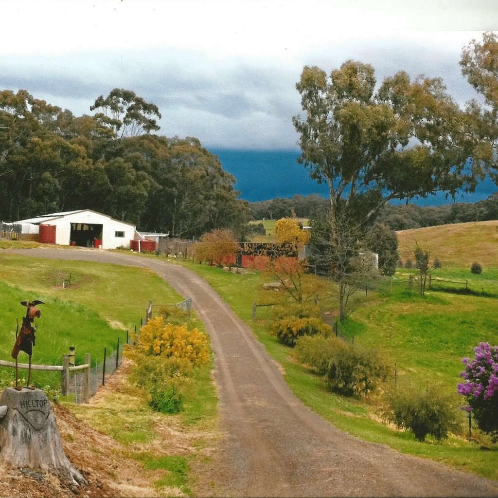 Hilltop Kennels & Cattery Guildford | 300 Shicer Gully Rd, Guildford VIC 3451, Australia | Phone: 0418 510 614