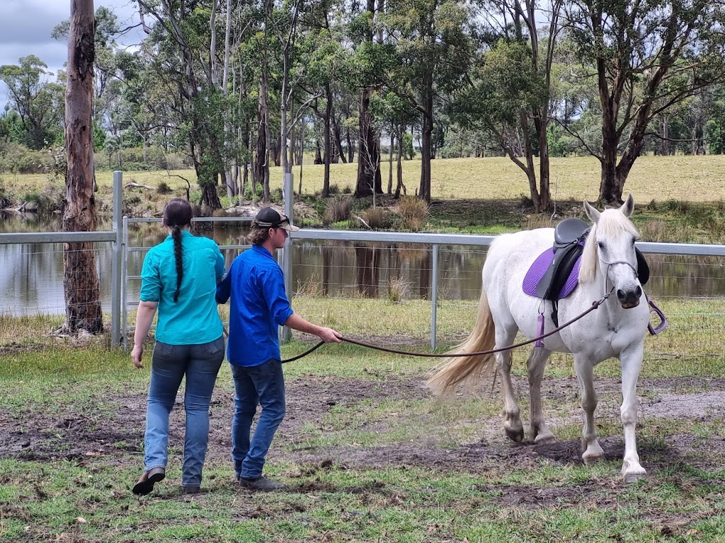 Hands On Horses Australia | 82 Border Gate Rd, Cottonvale QLD 4375, Australia | Phone: 0417 579 264
