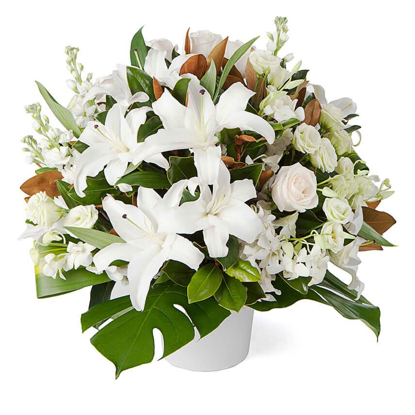 Captainshop | Flower Delivery Sydney & Best Florist | 55 Albert St, Freshwater NSW 2096, Australia | Phone: (02) 9905 3577