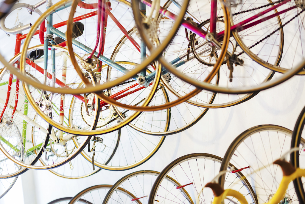 Evo Bikes | bicycle store | 149 Canterbury Rd, Canterbury NSW 2193, Australia | 0405769207 OR +61 405 769 207