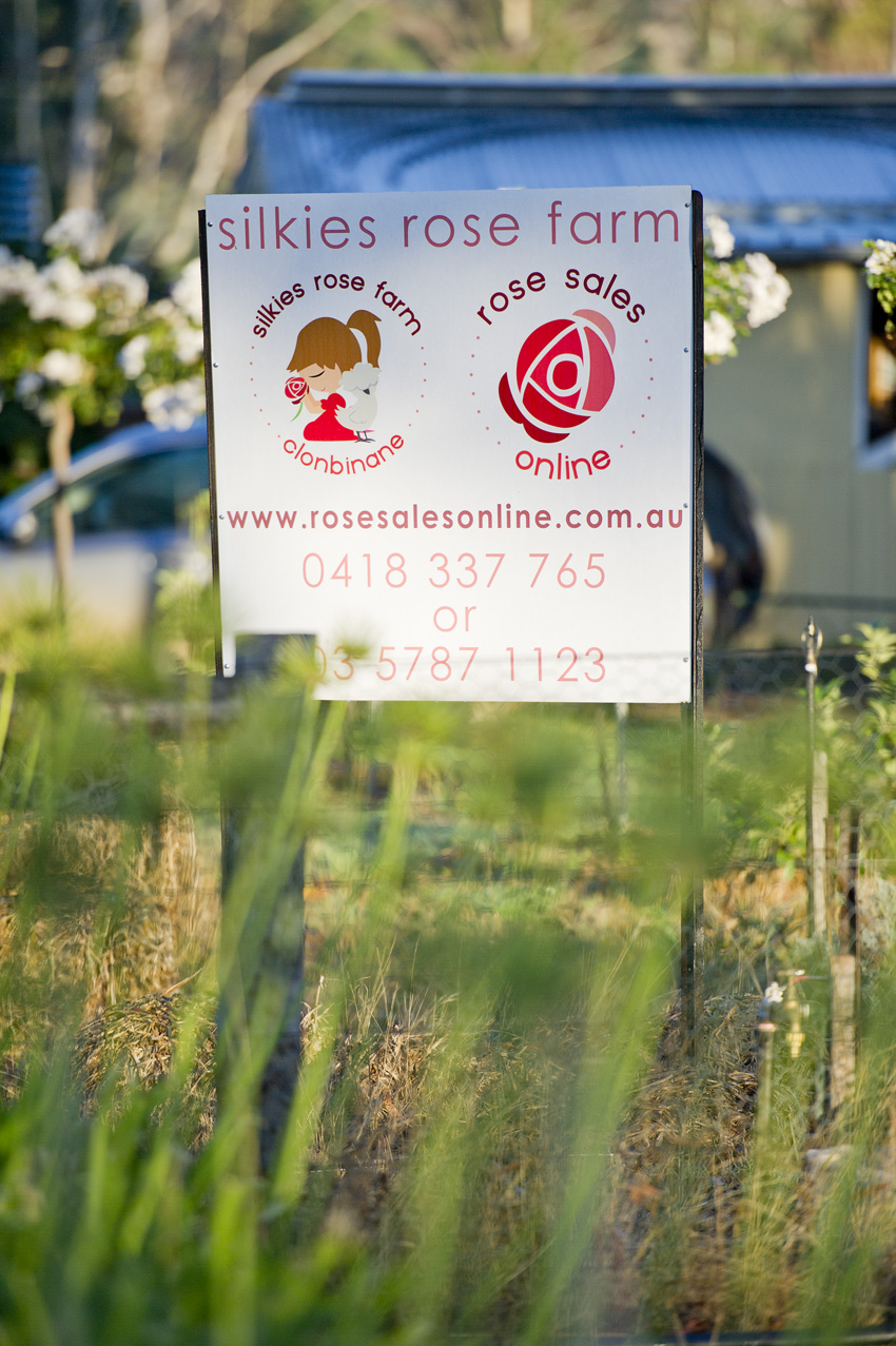 Silkies Rose Farm | store | Spur Rd & McDonalds Rd, Clonbinane VIC 3658, Australia | 0357871123 OR +61 3 5787 1123