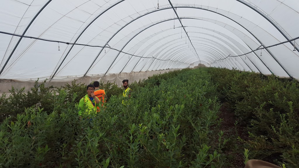 Richgro Garden Products | 203 Acourt Rd, Jandakot WA 6164, Australia | Phone: (08) 6258 7100