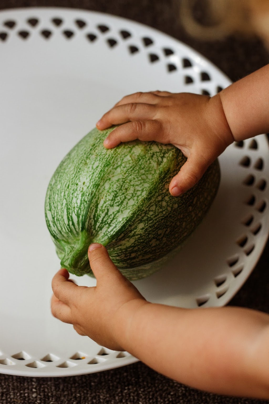 Mustard Seed Small Farm & Photography | 44 Hillside Dr, Glenning Valley NSW 2261, Australia | Phone: 0457 427 350