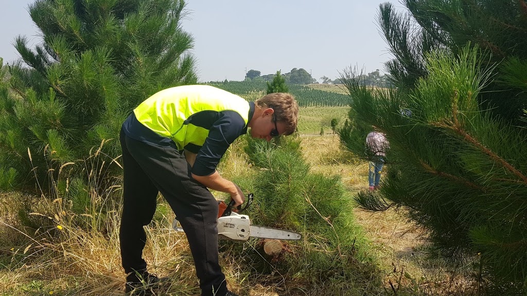 Ports Christmas Tree Farm | 186 Belgrave-Hallam Rd, Belgrave South VIC 3160, Australia | Phone: 0422 263 198