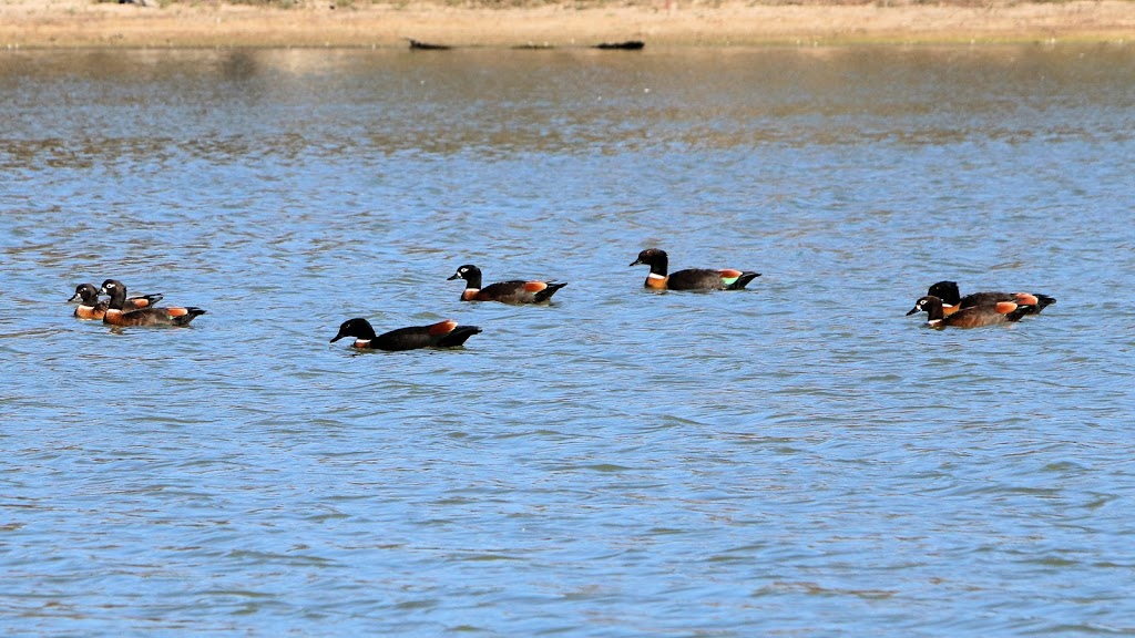 Brickworks Billabong | Merbein VIC 3505, Australia