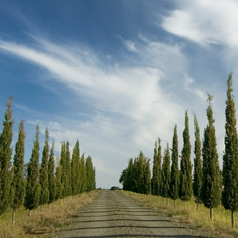 Fighting Gully Road | Vineyard: 203 Fighting Gully Road Winery:, Mayday Hills, 13 Kurrajong Way, Beechworth VIC 3747, Australia | Phone: 0407 261 373