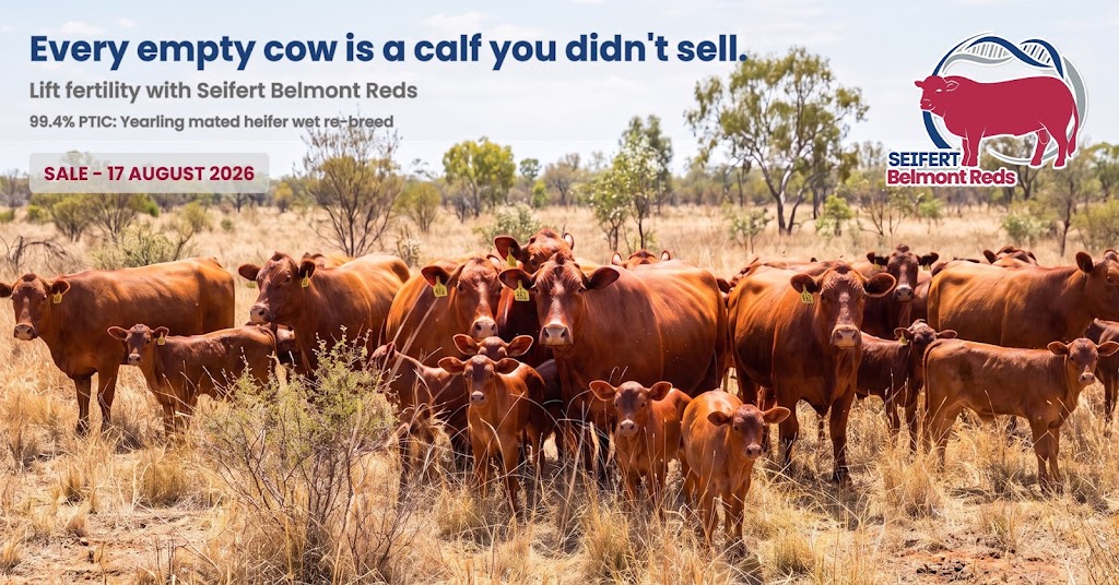 Bellfields | Bellfields, 1251 Bunya Hwy, Dalby QLD 4405, Australia | Phone: 0439 632 113